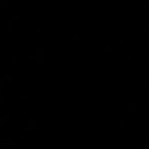 Meet your Posher, Ines